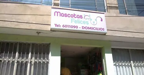 MASCOTAS FELICES VERBENAL SAN ANTONIO MASCOTAS FELICES VERBENAL SAN ANTONIO